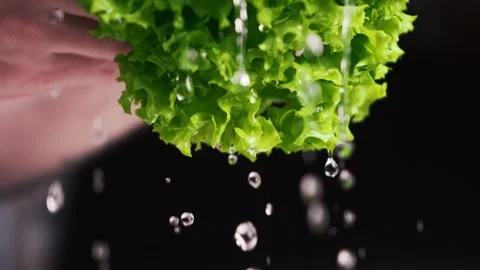 Water flows from lettuce leaves Vídeo Stock 159057850