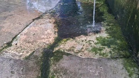 Water flows on the mossy floor (2) Stock Footage 308422088