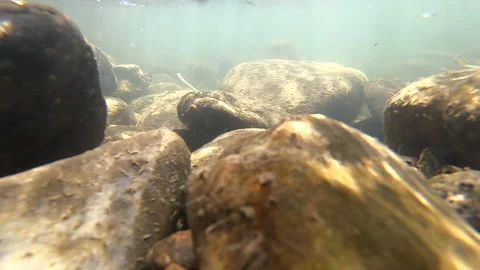 Water flows in a mountain river Stock Footage 144219824