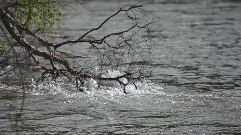 Water flows in the mountain river Ursul Stock Footage 75867280