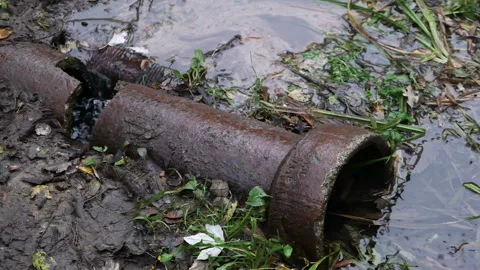 The water flows from the old moss covered concrete pipe Stock Footage 168496166