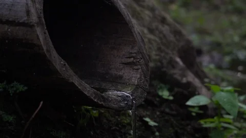 Water flows out of bamboo tubes Used in agriculture. Stock Footage 123602885