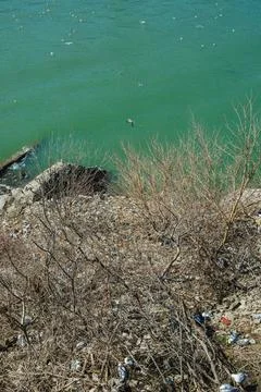 Water flows over cliffs at Niagara Falls with rocks and plants visible in t.. Stock Photos
