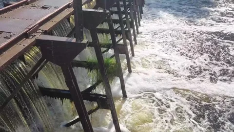 Water flows over a dam at a river during the day while plants grow near the stru Stock Footage 329825946