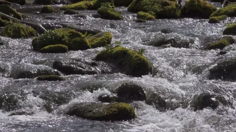 Water flows over moss covered rocks in a sparkling creek Stock Footage 329203386