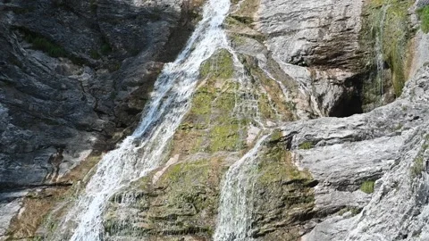 Water flows over mossy rocks in the mountains (slow motion) Stock-Footage 219644801