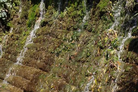 Water flows over mossy rocks in a natural setting during a sunny day in a forest Stock Photos