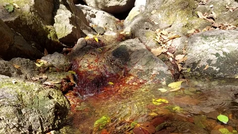 Water flows over red-brown rocks Stock Footage 260812772