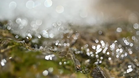 Water flows over a rock in front of the bokeh sunlight reflections (slow motion) Stock-Footage 219636165