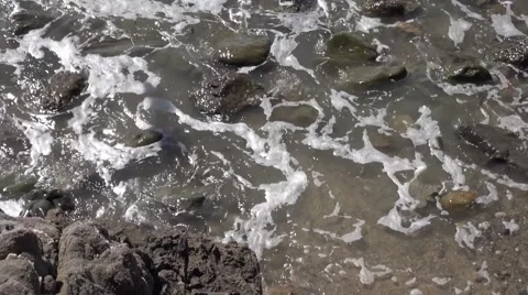 Water flows over rocks at the beach, shadow of bird flies overhead Stock Footage 40135056