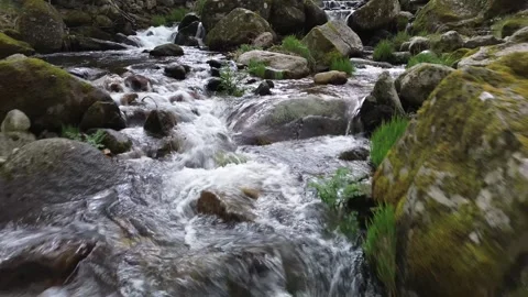 Water flows over the rocks as the chamber moves downstream Stock Footage 270153606
