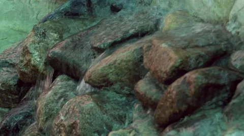 Water flows over the rocks down to the goldfish swimming in the lake Video stock 68787505