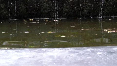 Water flows over the rocks Vídeos de archivo 77986741