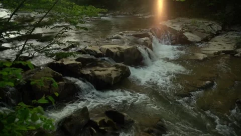 Water flows over rocks in a forest with sunlight shining through trees Stock Footage 329563015
