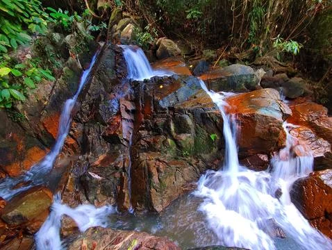 Water flows over rocks in a forest stream during daytime Stock Photos