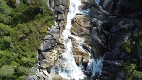 Water flows over rocks in a forested area with rich greenery Stock Footage 327584426