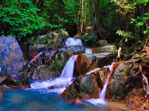 Water flows over rocks in a forested area near a stream on a sunny day Stock Photos