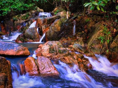 Water flows over rocks in a lush forest during the day near a river in a tr.. Stock Photos