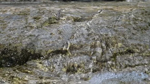 Water flows over rocks in the mountains (slow motion) Stock-Footage 212747506