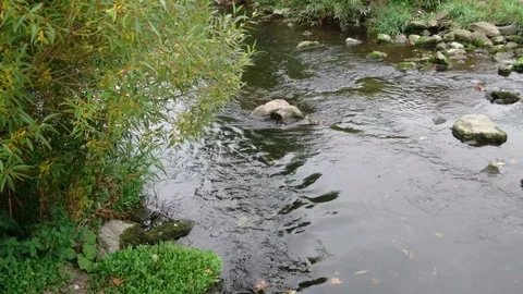 Water flows over rocks in the river, pan left to right Vídeos de archivo 102585346