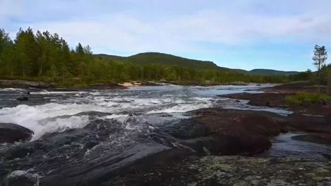 Water flows over rocks in a river surrounded by trees in Norway during dayl.. Stock Footage 340215015