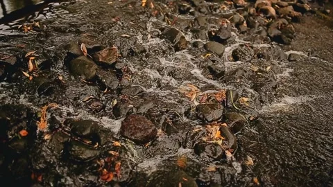 Water flows over rocks in a small river. Beautiful water shots taken close up Stock Footage 144080745