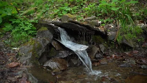 Water flows over rocks in a small stream in a forest during daylight hours Stock Footage 328095293