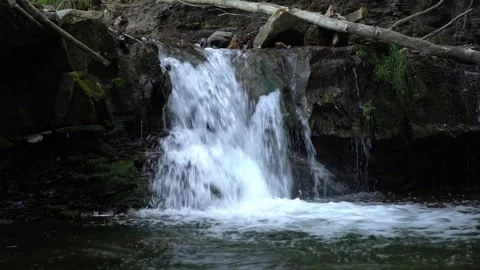 Water flows over rocks in a small stream surrounded by trees on a sunny day. Stock Footage 329563006