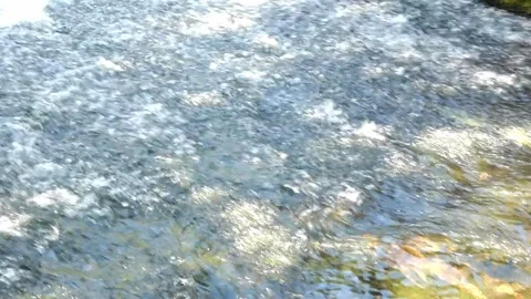 Water flows over rocks in a stream on a sunny day near the forest Stock Footage 325626281