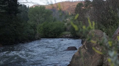 Water flows over rocks through a forest in Missoula MT Stock Footage 90819438