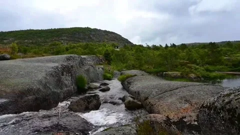 Water flows over rocks while green trees surround the stream in Norway duri.. Stock Footage 340213270