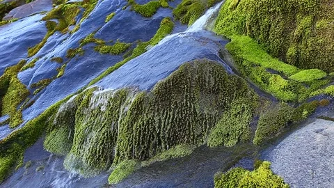 Water flows over smooth flat stones 스톡 동영상 142357479