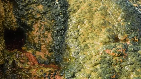 The water flows over the stone. Radon sources in the Karmadon ravine 스톡 동영상 80368089