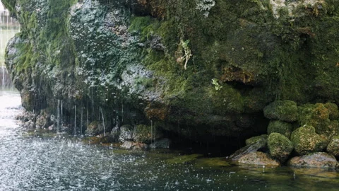 Water flows over stones covered with moss. A small waterfall. Stock Footage 259827710