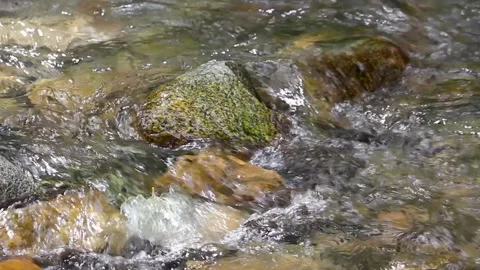 Water flows over stones in a fast mountain river. Natural background. Stock Footage 149939735