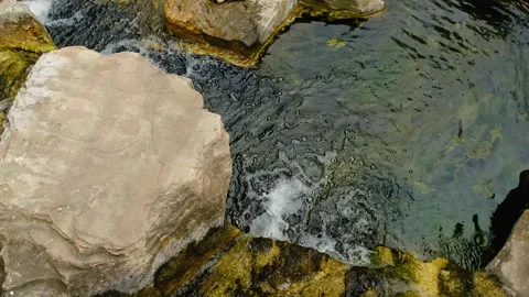 Water flows over the stones. Selective focus. Stock Footage 262177200