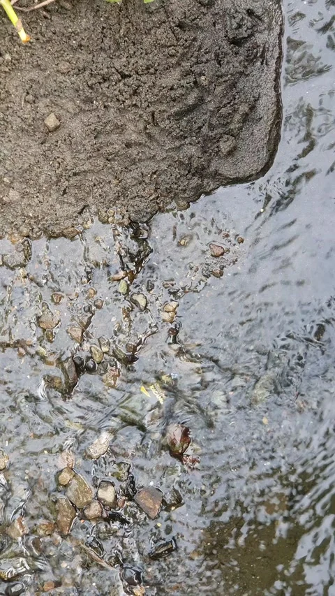 Water flows over wet ground Stock Footage 300465535