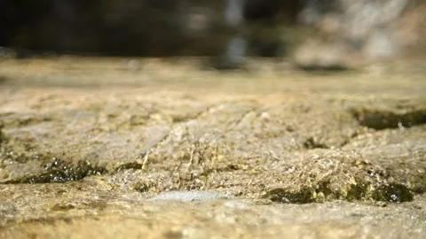 Water flows over yellow rocks (slow motion, bokeh) Stock-Footage 212746700