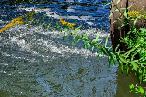 Water flows from the pipe into the river. Stock Photos