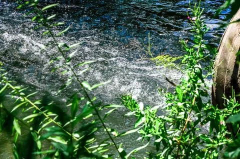 Water flows from the pipe into the river. Stock Photos