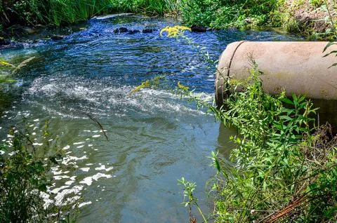 Water flows from the pipe into the river. Stock Photos