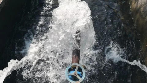 Water flows from pipe into tank or pool with trout, fish farm for breeding and Stock Footage 241481838
