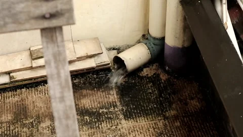 Water flows from pipes Stock Footage 247298789