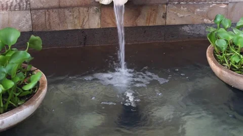 Water Flows In The Pond Stock Footage 244204121