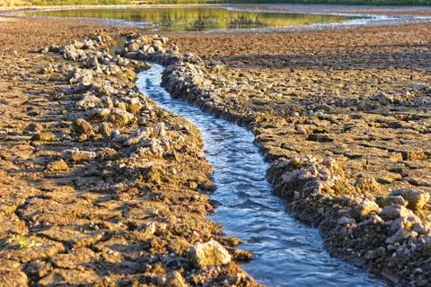Water flows into the pond shrinking Stock Photos