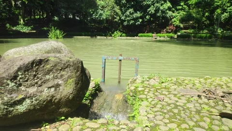 Water flows from the pond through a small gate Stock Footage 303792580