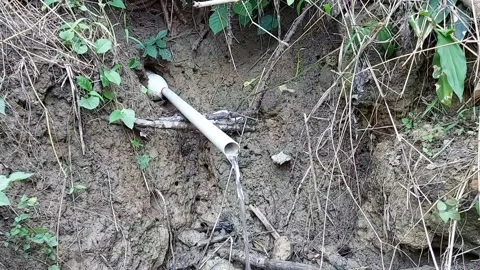 Water Flows from PVC Pipes on a Cliff, Clean Water from a 4K Mountain Spring Stock Footage 239919953