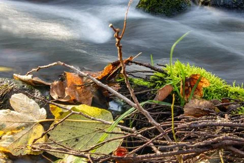 Water flows quickly around the stone with fallen leaves in the creek. Stock Photos