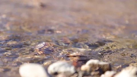 Water flows quickly in the river near the shore.	 Stock Footage 127526002