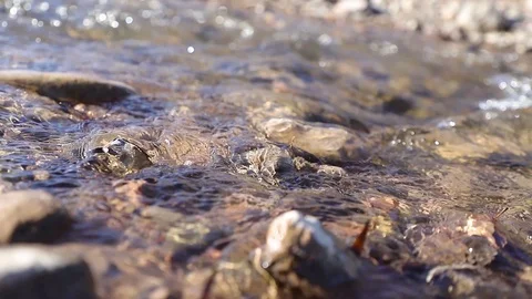 Water flows quickly in the river near the shore.	 Stock Footage 127532535